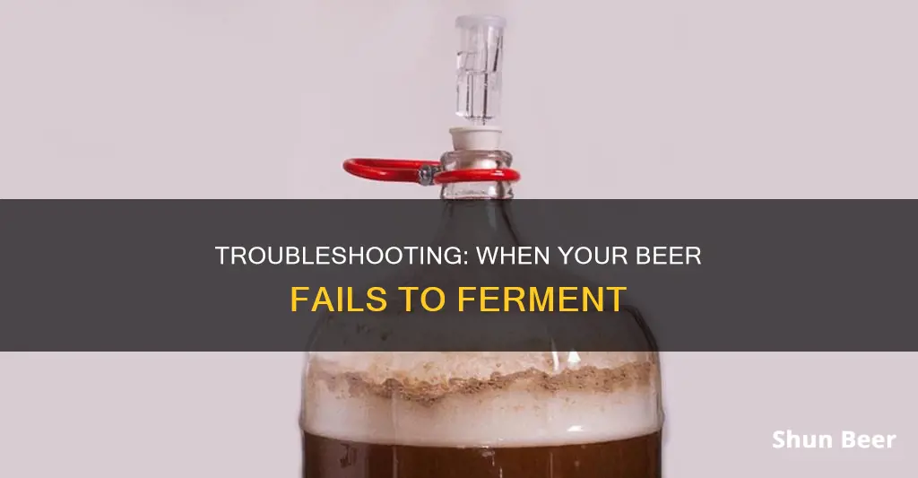 what if my beer doesnt ferment enough