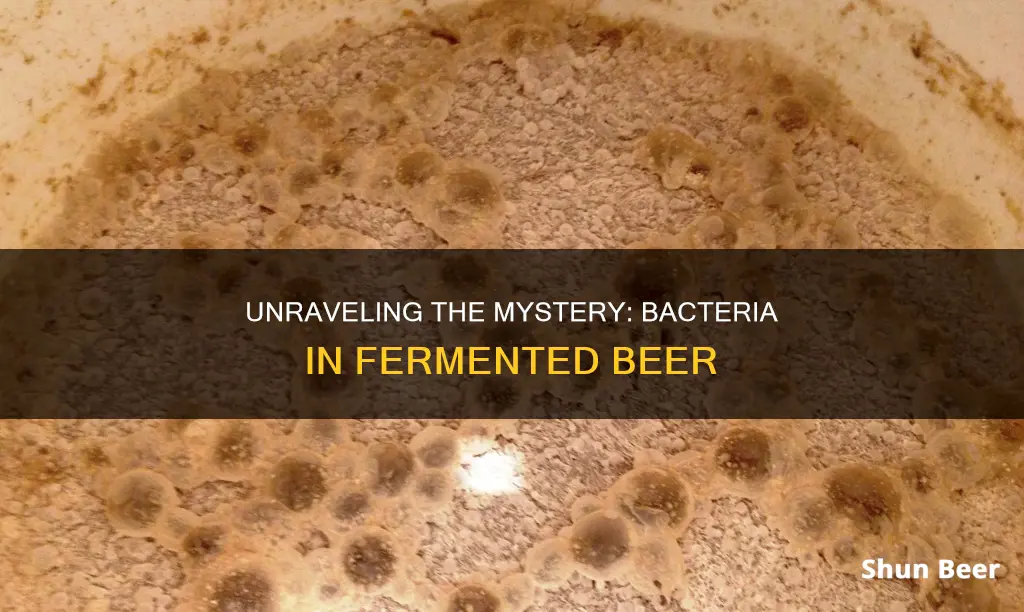 what if you have bacteria growth on fermenting beer