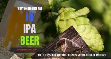 The Magic Ingredients Behind the Popular IPA Beers