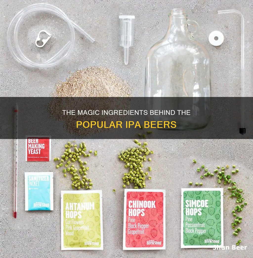 what ingredients are in ipa beer