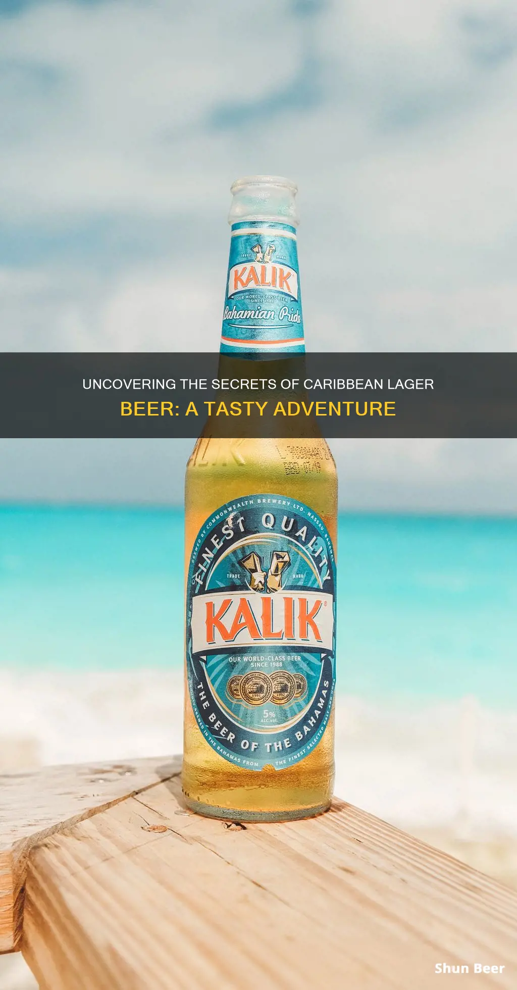 what is a caribbean lager beer