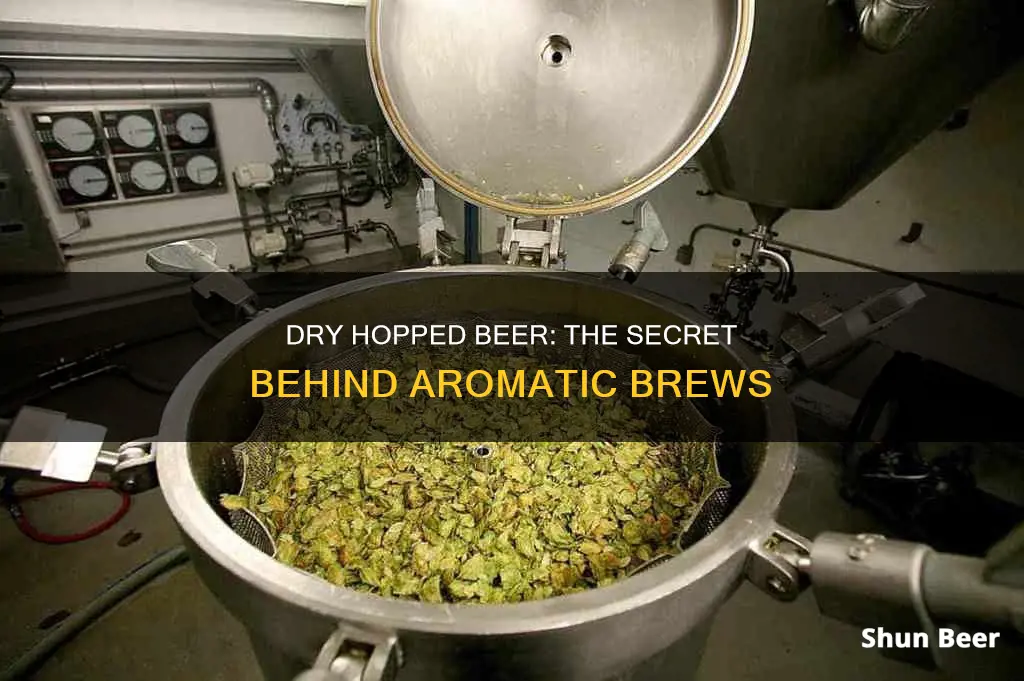 what is a dry hopped beer