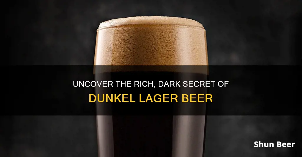 what is a dunkel style lager beer