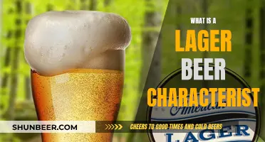 Uncover the Secrets of Lager Beer: A Comprehensive Guide