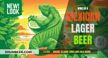 Uncover the Secrets of Mexico's Iconic Lager Beer