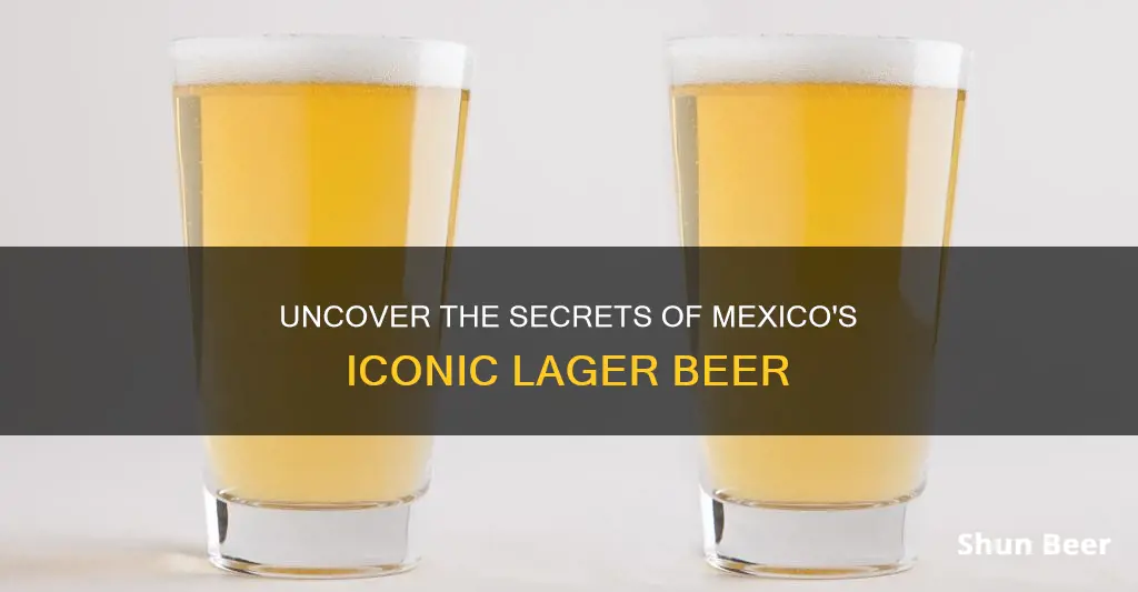 what is a mexican lager beer