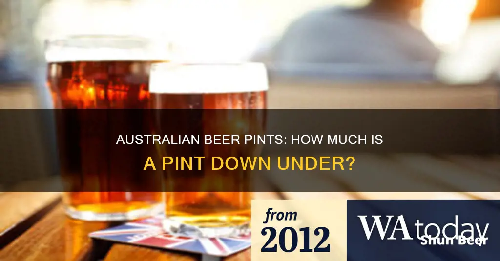 what is a pint of beer in australia