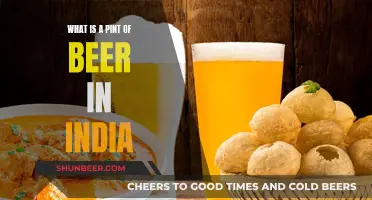 Exploring India's Beer Culture: Understanding a Pint