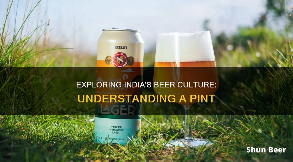 what is a pint of beer in india