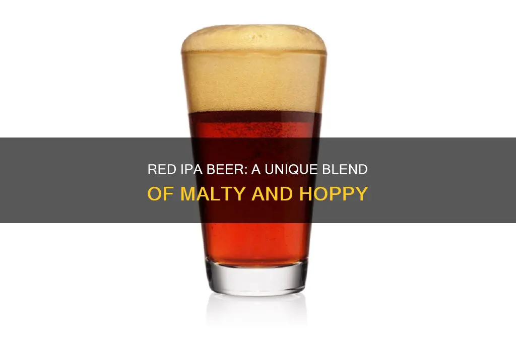 what is a red ipa beer