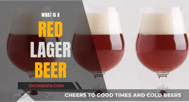 Unveiling the Mystery: Red Lager Beer Explained