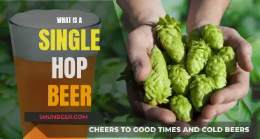 The Art of Single-Hop Beer: Simplicity and Flavor