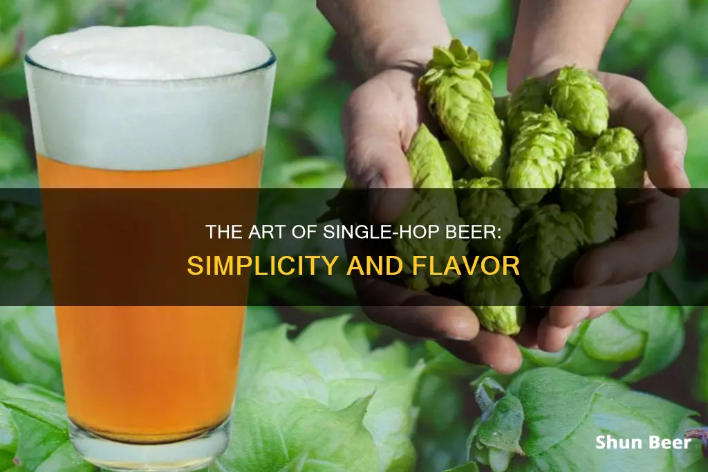 what is a single hop beer