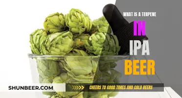 Terpene's Role in IPA Beers Explained