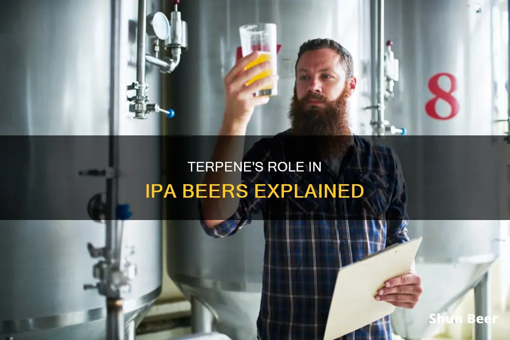 what is a terpene in ipa beer