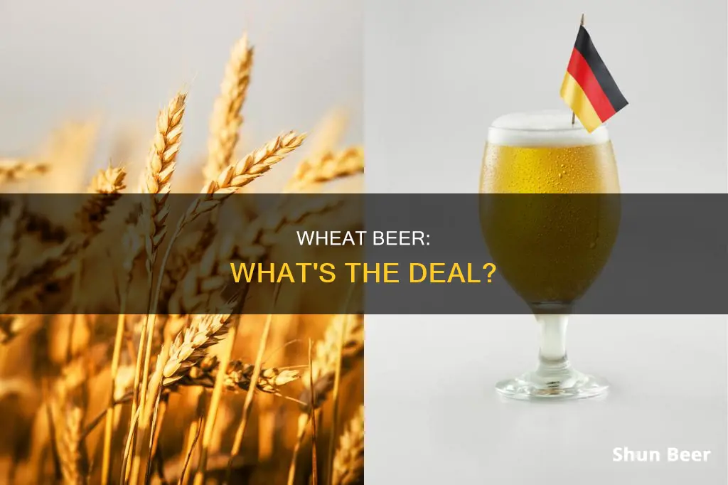 what is a wheat beer