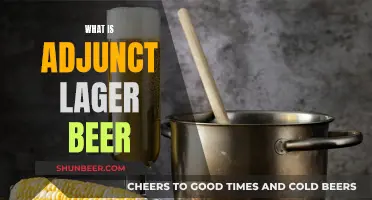 Unveiling the Magic: Adjunct Lager Beer Explained