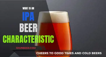 IPA Beer: Characteristics, Taste, and History