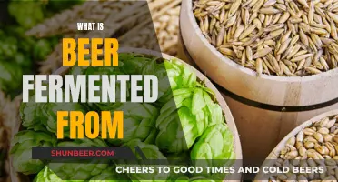 Uncover the Magic: Beer's Fermented Origins