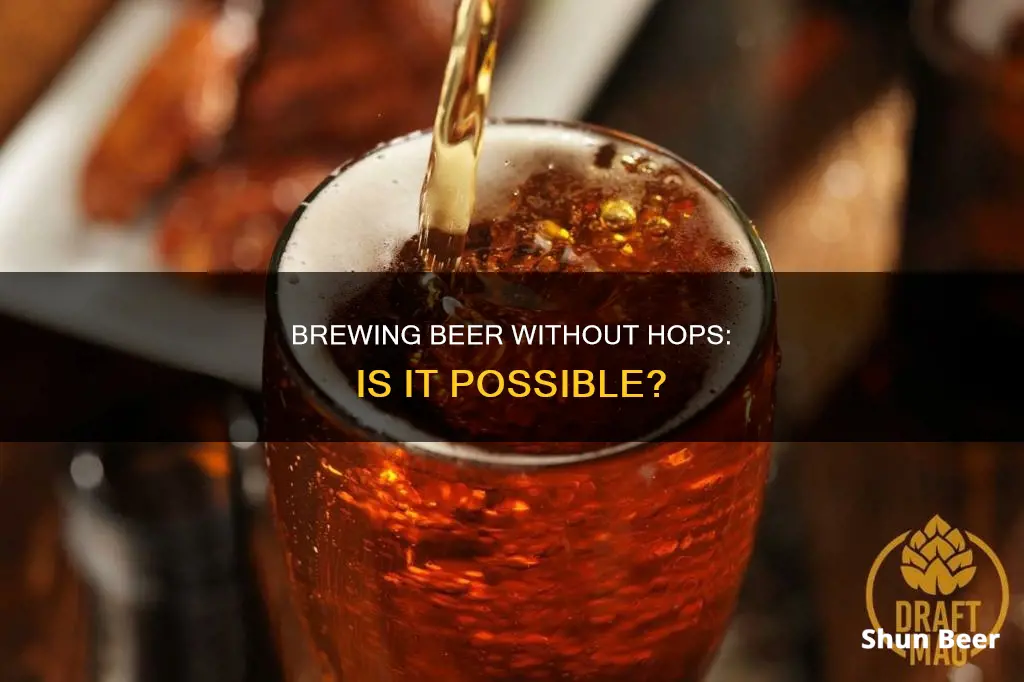 what is beer without hops