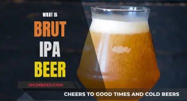 Brut IPA Beer: What's the Fuss About?