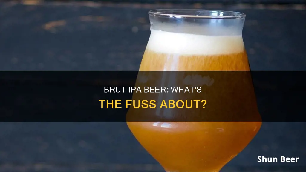 what is brut ipa beer