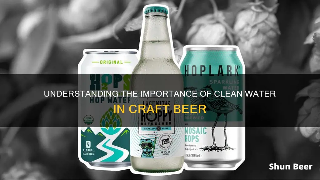 what is clean water in beer