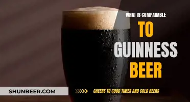 Guinness Beer Alternatives: Exploring Dark and Delicious Brews