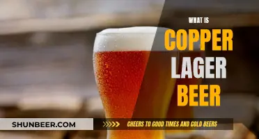 Unveiling the Magic of Copper Lager Beer: A Tasty Adventure