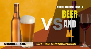 Beer vs. Alcohol: What's the Real Difference?