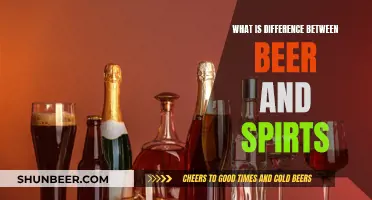 Beer vs Spirits: Understanding Alcoholic Beverage Differences