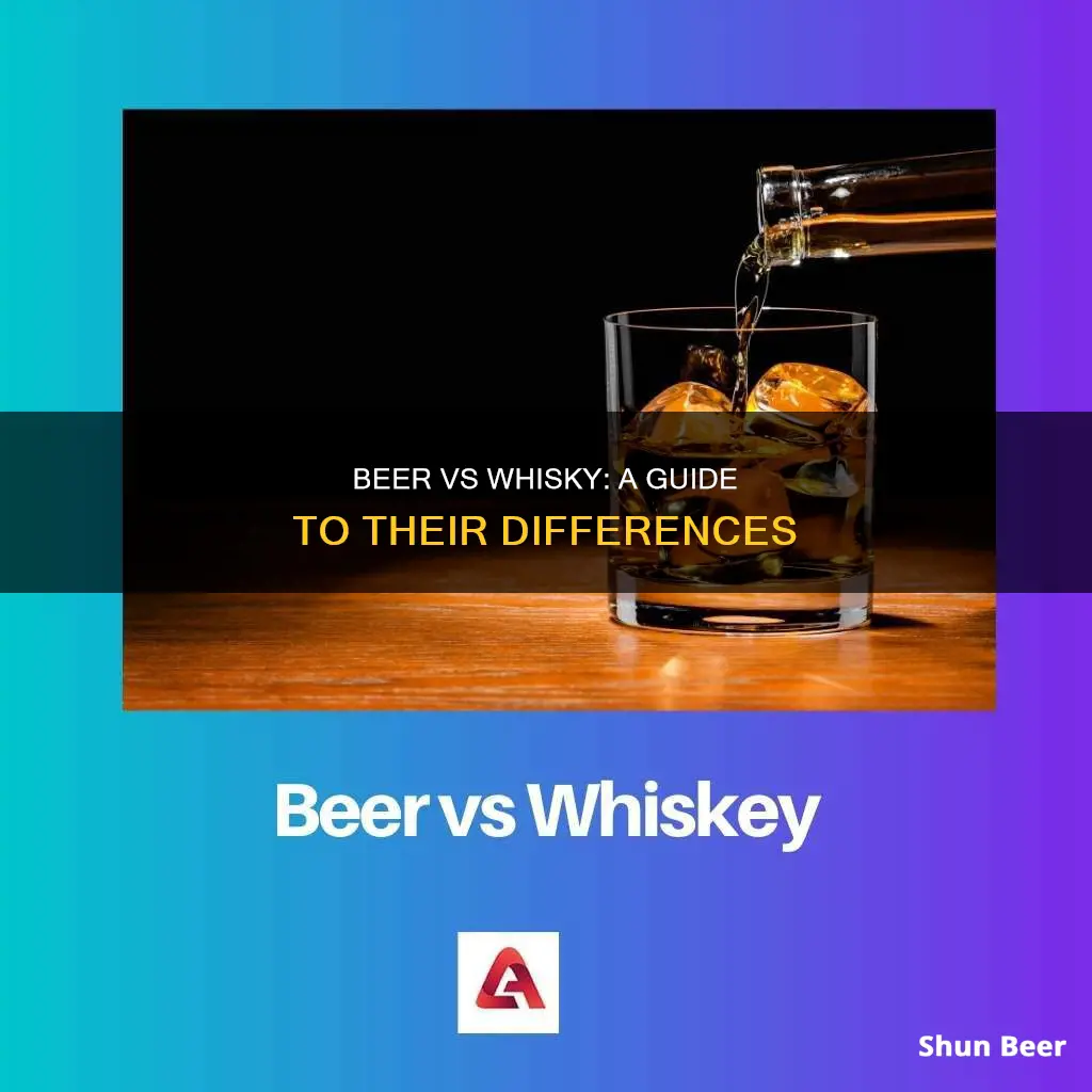 what is difference between beer and whisky