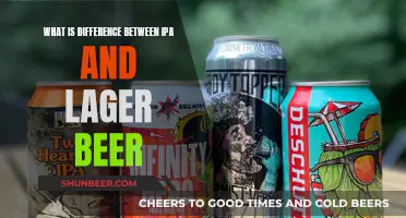 Explore the Difference: IPA vs Lager Beer