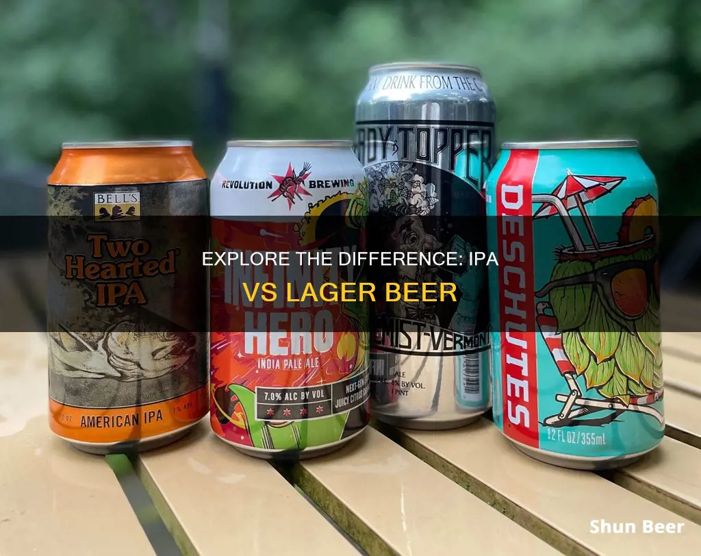 what is difference between ipa and lager beer