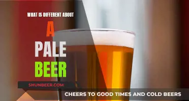 Pale Beer: What Sets It Apart?