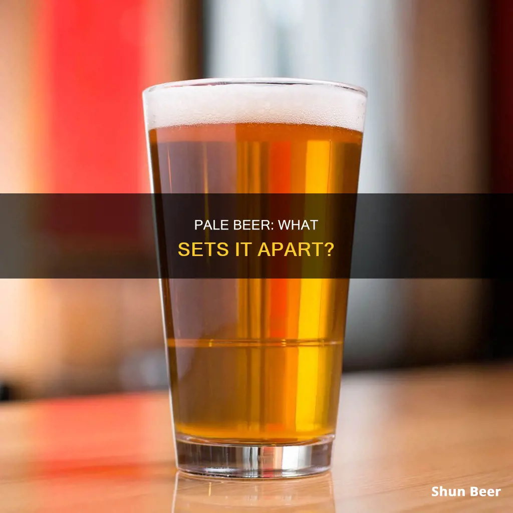 what is different about a pale beer