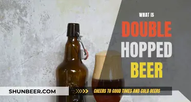 The Complex Art of Double-Hopped Beer Explained