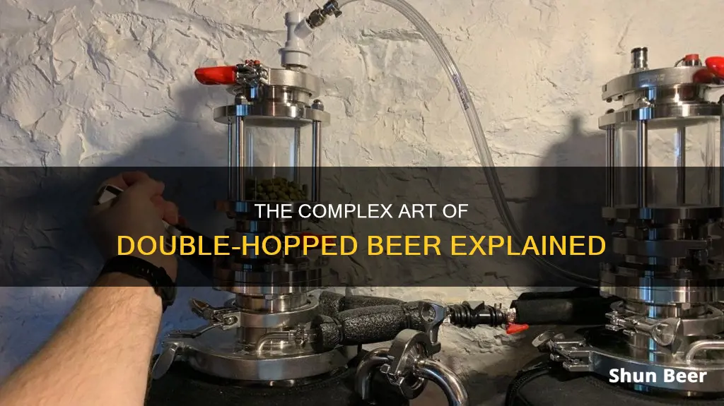 what is double hopped beer