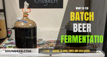 Understanding Fed-Batch Beer Fermentation: A Comprehensive Guide