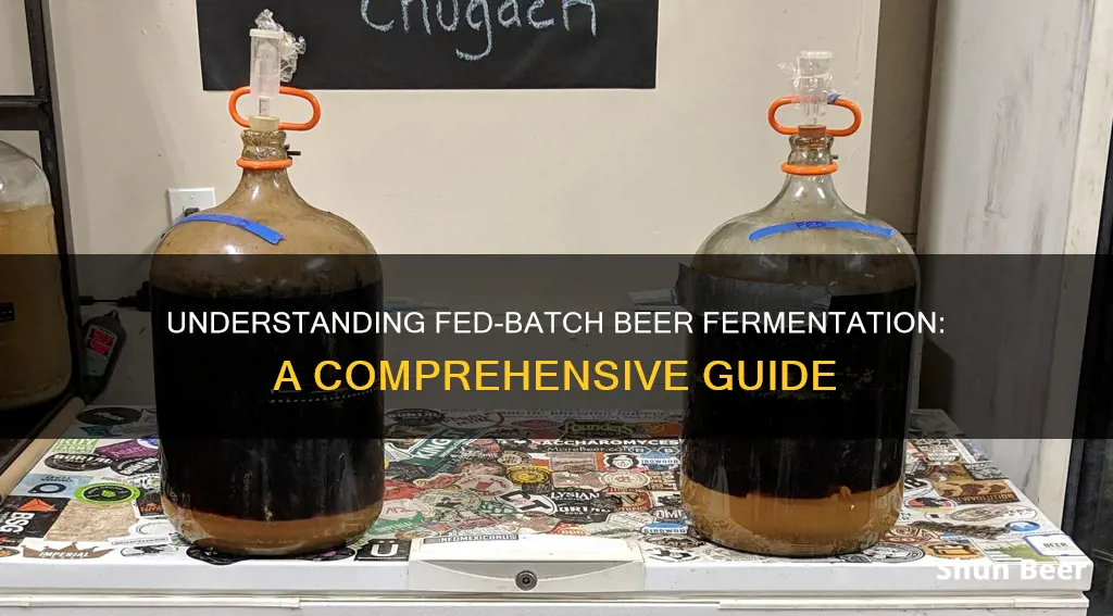 what is fed batch beer fermentation