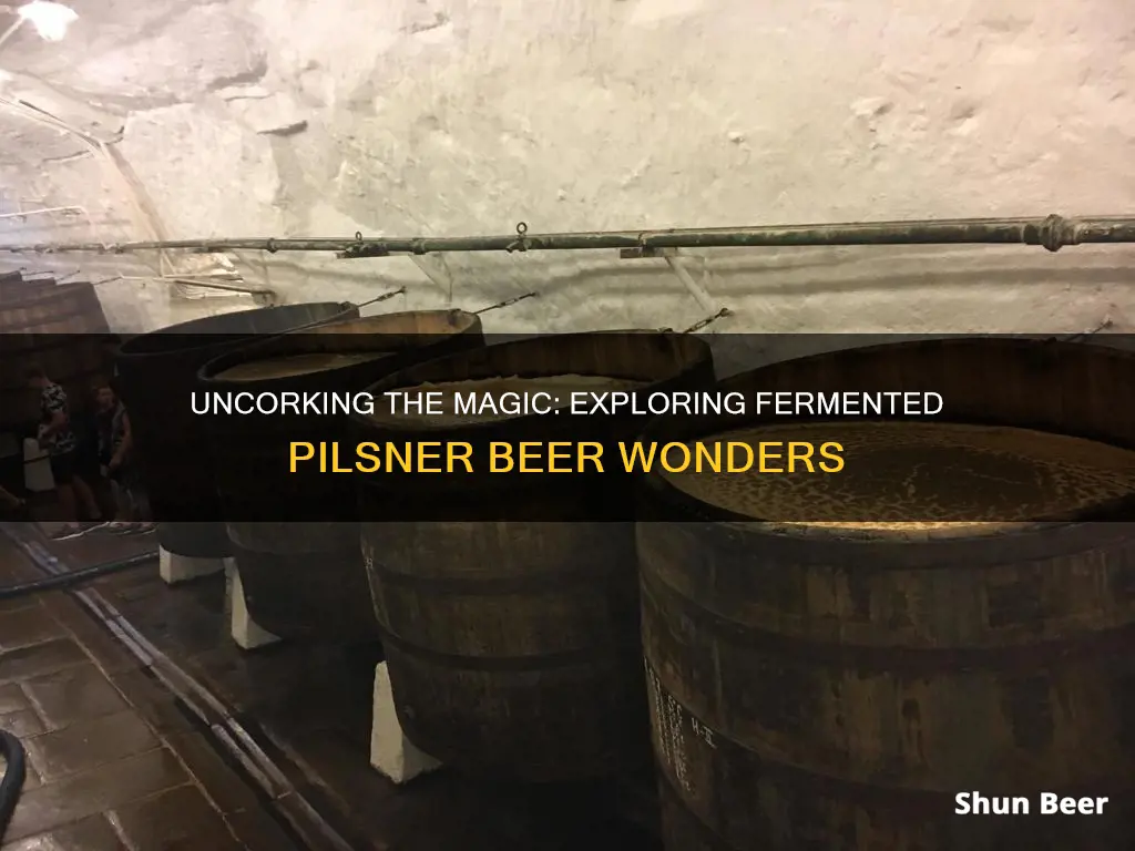 what is fermented with a pilsner beer