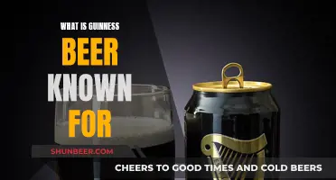 Guinness Beer: Its Signature Taste and Irish Legacy