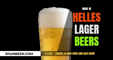 Uncover the Secrets of Helles Lager: A Beer Style Guide