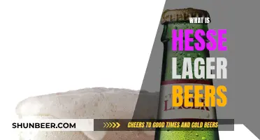 Uncover the Secrets of Hesse Lager: A Beer Lover's Journey