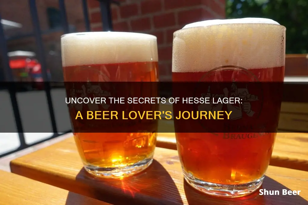 what is hesse lager beers