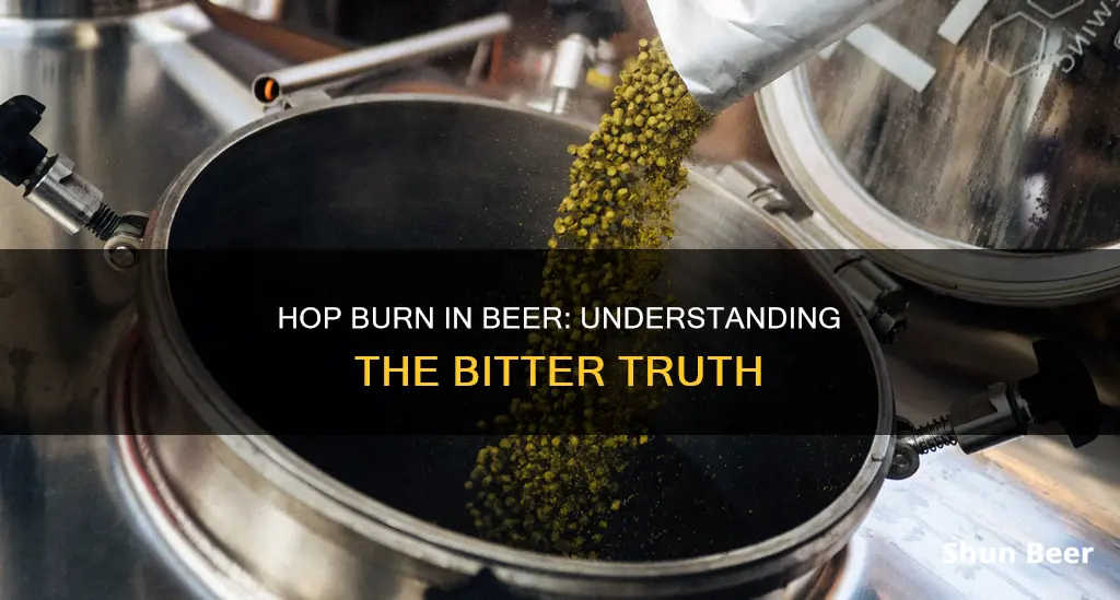 what is hop burn in beer