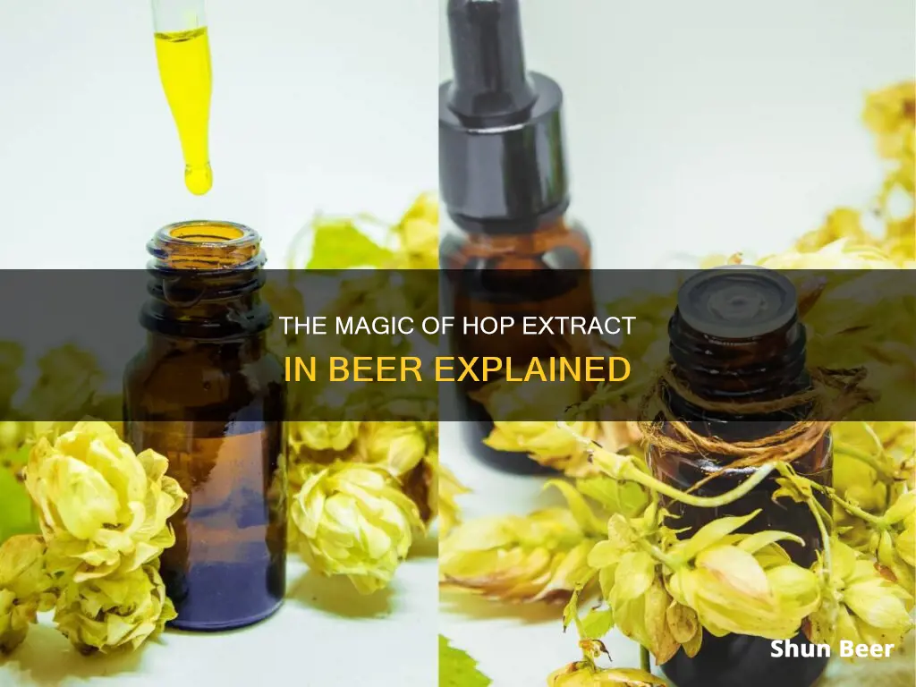 what is hop extract in beer