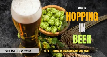 Hopping in Beer: The Art of Aromatic Enhancement