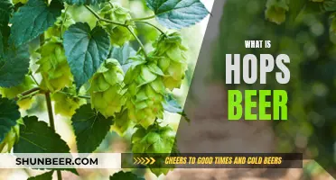 Hops Beer: The Secret Behind the Bitter Buzz