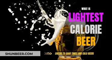 Lightest Calorie Beers: The Ultimate Guide to Low-Calorie Brews